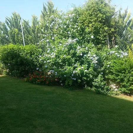 Ermis House
